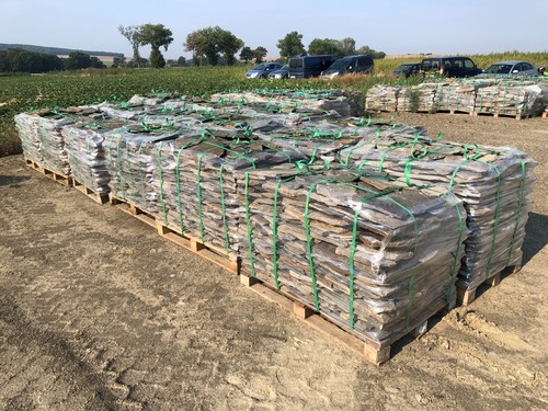 Polygonalplatten