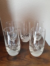 5 Nachtmann Wasser Oder Saft