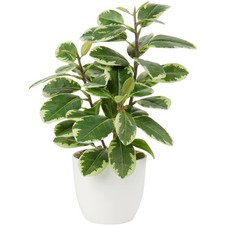 Kunstpflanze Kamelie 28cm