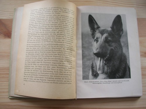 Interessantes altes buch - interessantes,