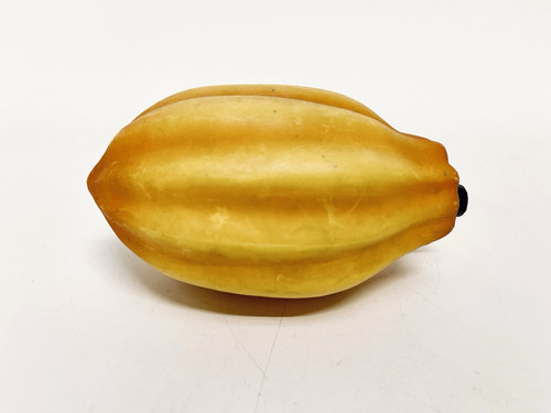 Faux tropical fruit plactic - tropical,