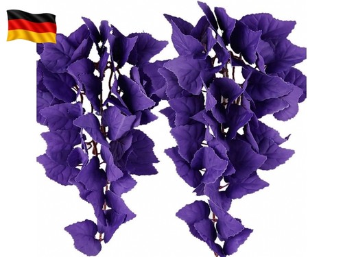 Hängepflanze terrarium - hängepflanze,