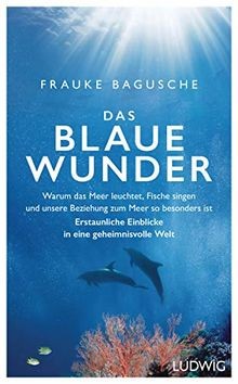 Das blaue wunder warum - wunder:,