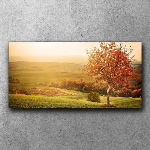Leinwandbilder wandbilder xxl - wandbilder,