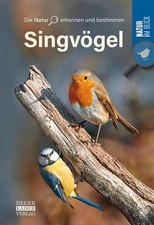 Singvögel 