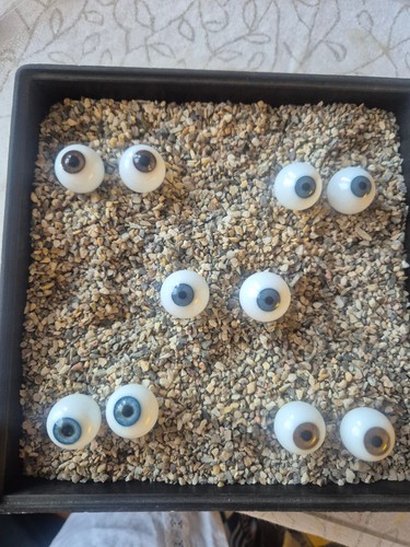 Konvolut glasaugen für puppen - konvolut,