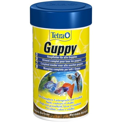 Tetra guppy 100 - guppy,