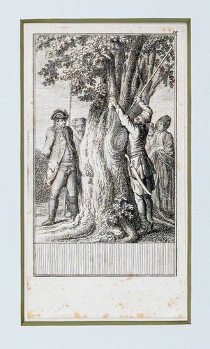 Daniel chodowiecki sophiens - daniel,
