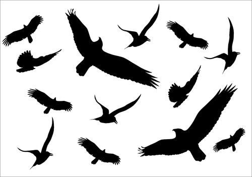 Vögel vogel schutz aufkleber - vögel,