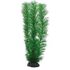Hobby egeria künstliche - egeria,