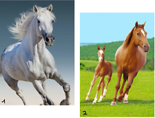 Fleecedecke Pferd 100x140 cm Decke Fleece Kinder Kuscheldecke Pferde Fohlen