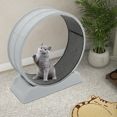 Grau laufrad für katzen - für,