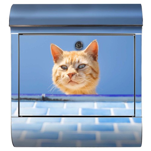 Briefkasten katze cat kitten - katze,