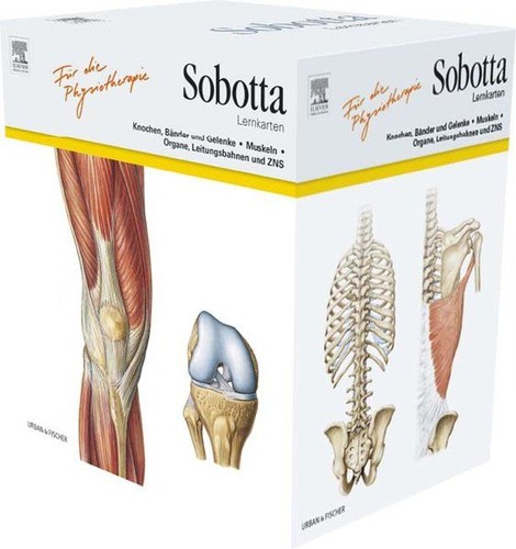 Sobotta lernkarten für - sobotta,
