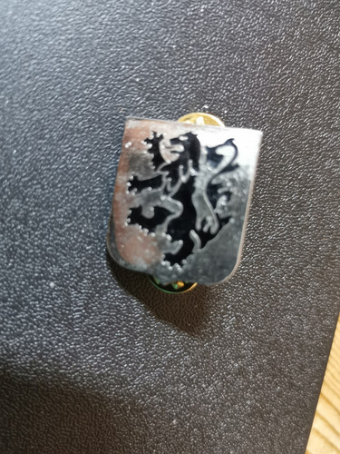 Alter army pin crest - alter,