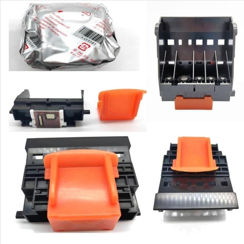 Qy6 0049 print - qy6-0049, head