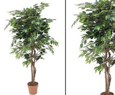 Künstlicher ficus mit - mit, 1260