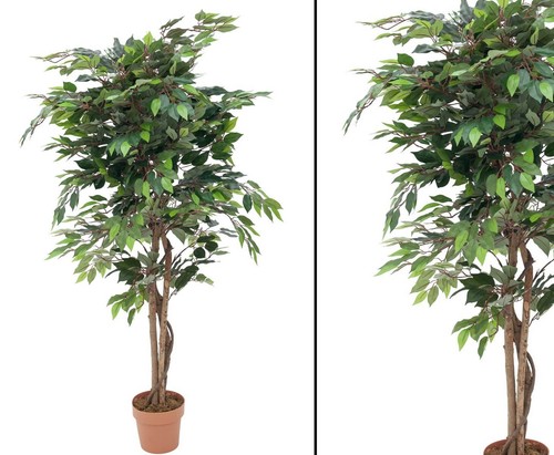 Künstlicher ficus mit 1260 - künstlicher,