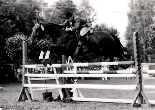Foto springreiten sprung - springreiten,,