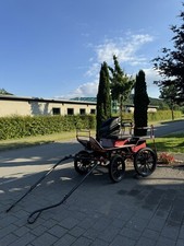 Wagonette einspännig - wagonette,,