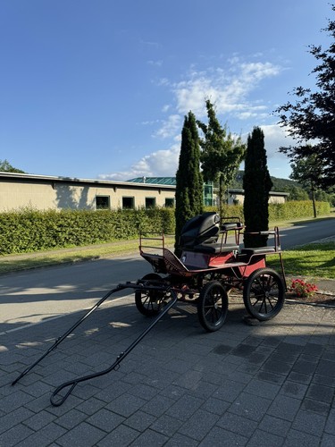 Wagonette einspännig - wagonette,,
