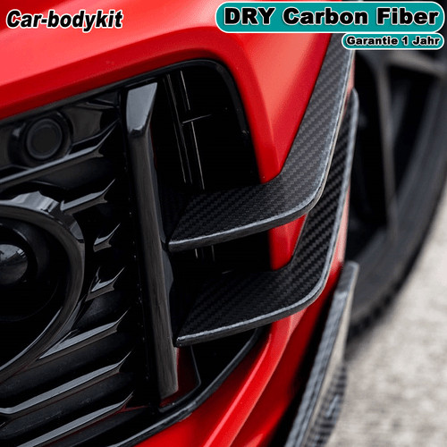 Dry carbon front - carbon,
