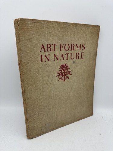 Art forms nature - art, in