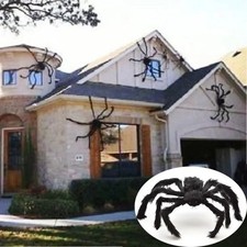 Halloween riesenspinne - halloween,