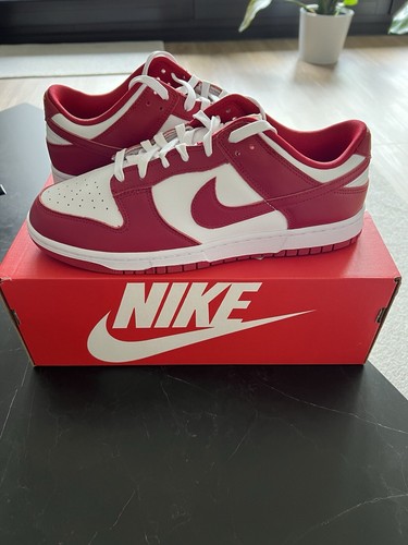 Nike dunk low retro gym - retro,