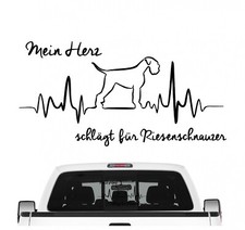 Riesenschnauzer Schnauzer