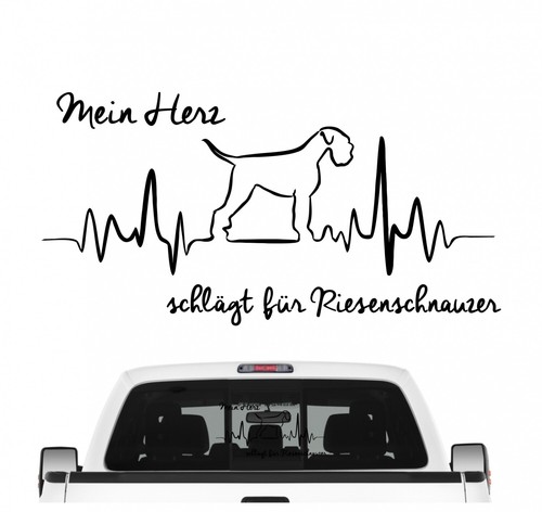 Riesenschnauzer schnauzer - riesenschnauzer,