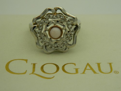 Walisischer clogau - walisischer,