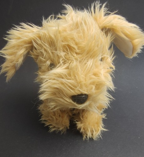 Terrier aliki hund - aliki, |