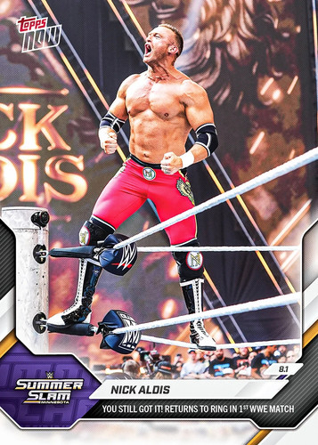 Preorder 2026 wwe topps - [preorder]2026,