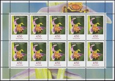 3191 Blumen 450 Cent