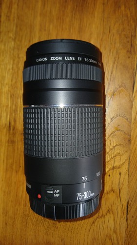 Canon zoom lens 300mm - zoom, ef