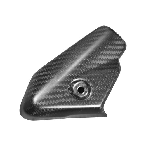 100 carbon fiber exhaust - carbon,