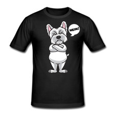 Sturer Westies Terrier Hund