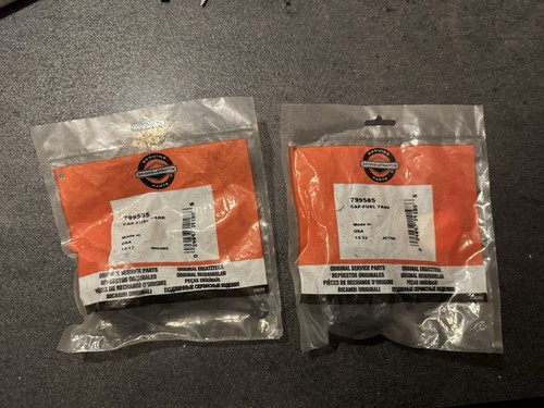 2xoriginal briggs stratton - 2xoriginal, briggs&stratton