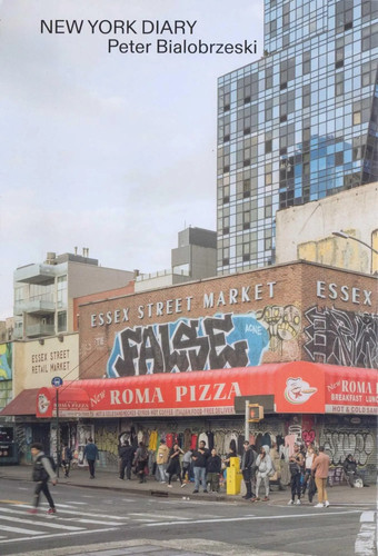 New york diary peter - |,