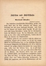 Sled and Skates anno 1884 -