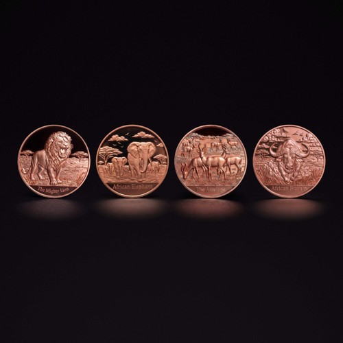 Animal world set 1 oz - animal,