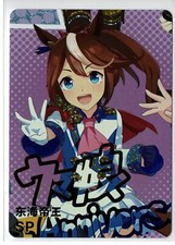 Goddess Story SP Waifu Anime Doujin Cards Trading Secret Beauty Card Garden Girl