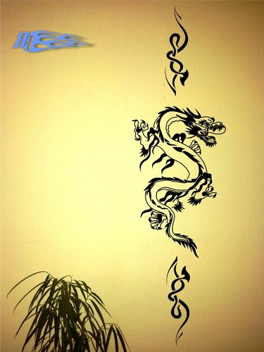 Wandtattoo drache tribal - wandtattoo,