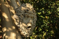 Wasserspeier Bacchus