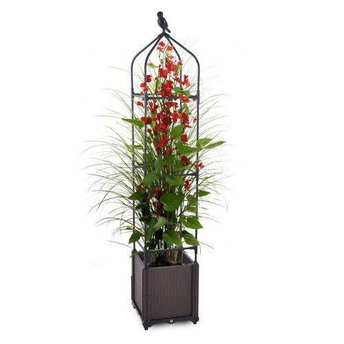 Blumenkasten mit rankhilfe - blumenkasten,