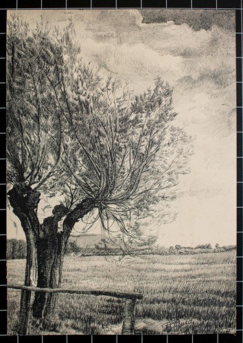 Landschaft weide wiese - weide,
