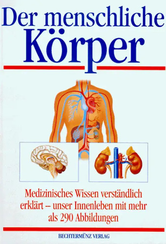 Der menschliche körper - menschliche,