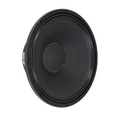 Visaton PAW 38 38 cm (15“)