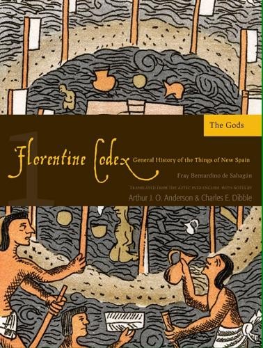 The florentine codex - codex,, book